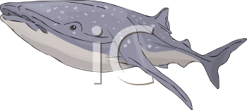 Aquatic Animals Clipart