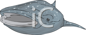 Fish and Sealife Clipart