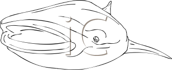 Fish and Sealife Clipart