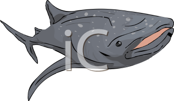 Fish and Sealife Clipart