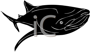 Fish and Sealife Clipart