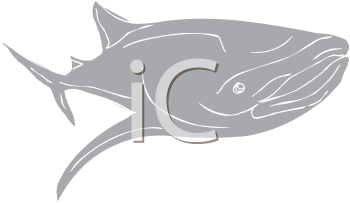 Aquatic Animals Clipart