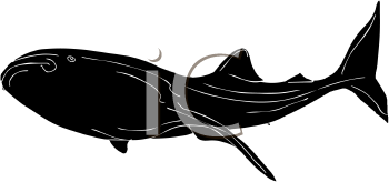 Aquatic Animals Clipart