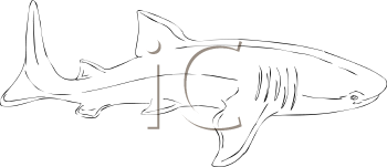 Fish and Sealife Clipart