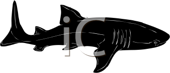 Fish and Sealife Clipart