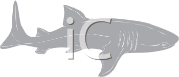 Aquatic Animals Clipart