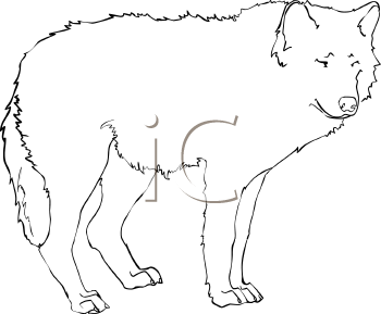 Pet Clipart