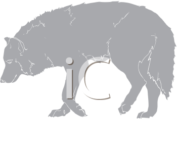 Pet Clipart