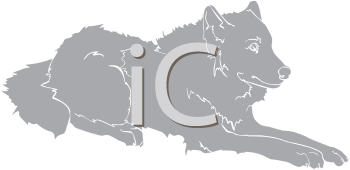 Pet Clipart