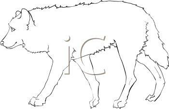 Pet Clipart