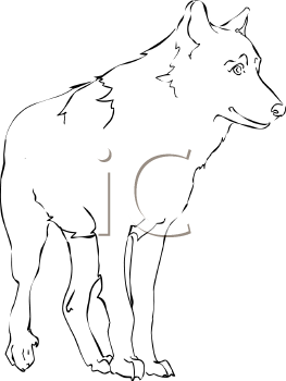 Pet Clipart