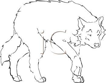 Pet Clipart