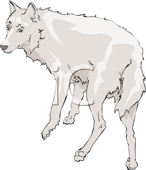 Pet Clipart