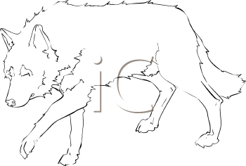 Pet Clipart