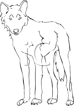 Pet Clipart