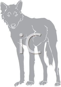 Pet Clipart