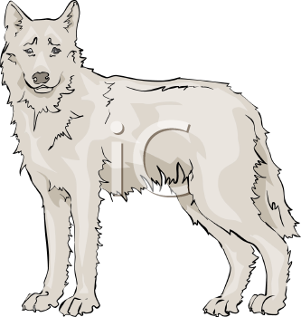 Pet Clipart