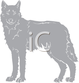 Pet Clipart