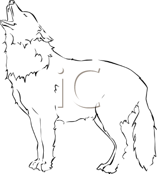 Pet Clipart
