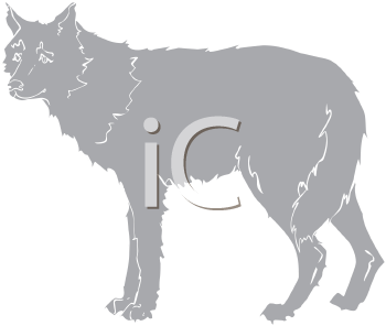 Pet Clipart