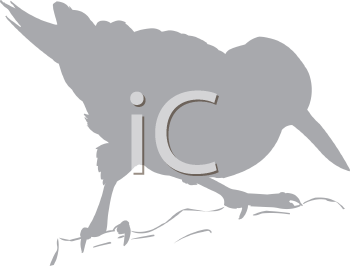 Bird Clipart