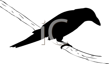 Bird Clipart