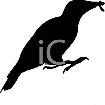 Bird Clipart