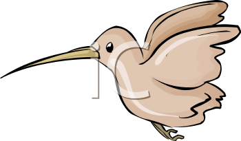 Bird Clipart