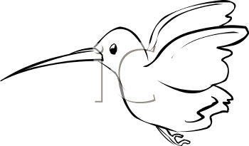 Bird Clipart