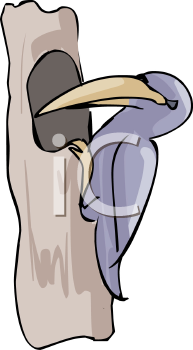 Bird Clipart