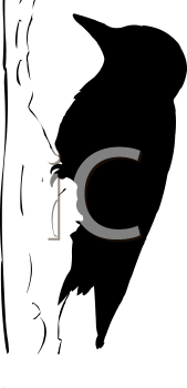 Bird Clipart