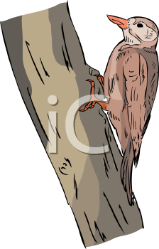 Bird Clipart