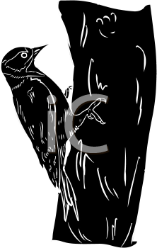 Bird Clipart