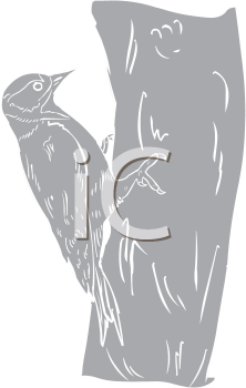 Bird Clipart