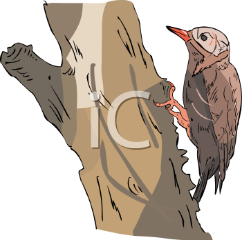 Bird Clipart