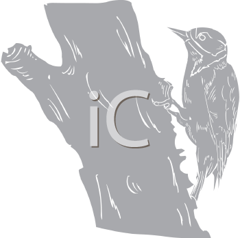 Bird Clipart