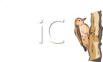 Bird Clipart