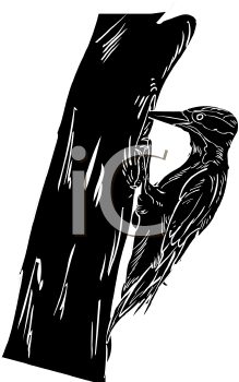 Bird Clipart