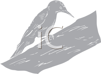 Bird Clipart