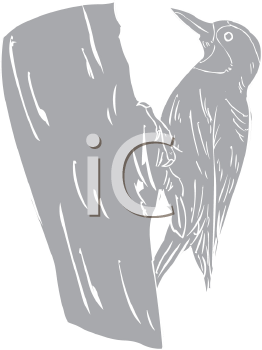 Bird Clipart