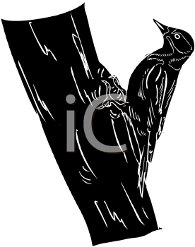 Bird Clipart