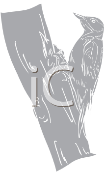 Bird Clipart
