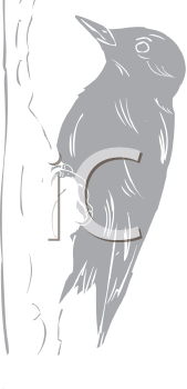 Bird Clipart