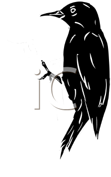 Bird Clipart