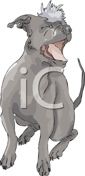Dog Clipart