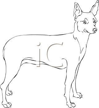 Dog Clipart