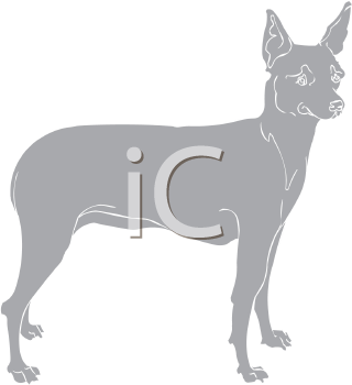 Pet Clipart