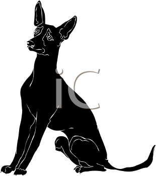 Pet Clipart