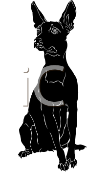 Pet Clipart