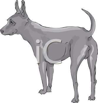 Pet Clipart